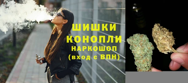 мяу мяу кристалл Няндома
