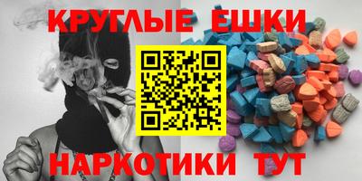 СК Гатчина