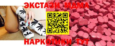 СК Гатчина