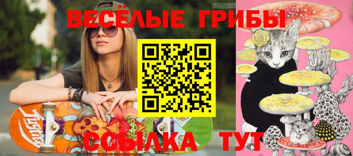 Галлюциногенные грибы ЛСД  Вход с VPN  Уварово  Галлюциногенные грибы Magic Shrooms 