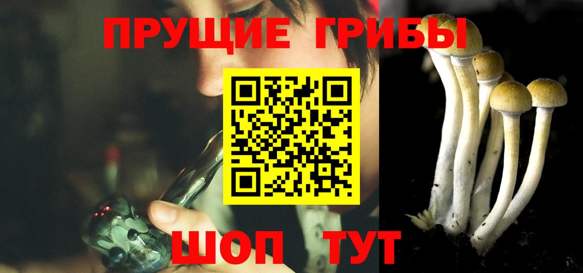 Псилоцибиновые грибы Psilocybine cubensis  Галлюциногенные грибы Cubensis  Уварово 